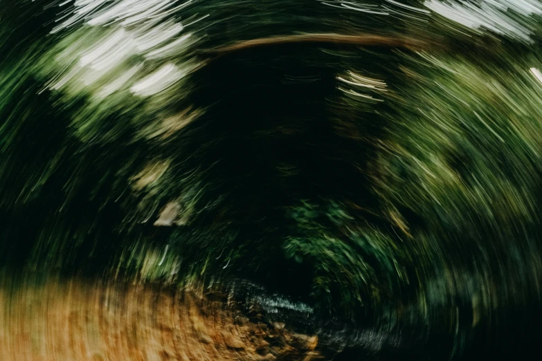 an abstract picture of a curved object that looks like a dark forest