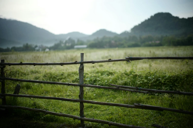 the fence of a grassy field with a cow in the distance