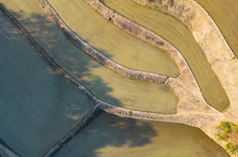 an aerial view shows multiple lines in the ground