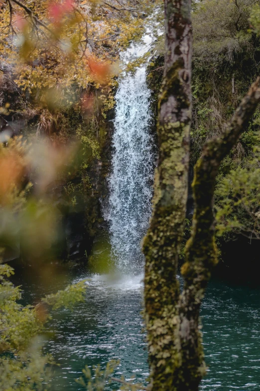 the water is clear and full of waterfalls