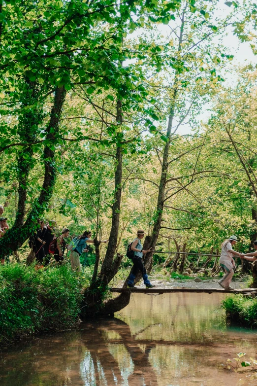 people crossing bridge over creek on sunny day