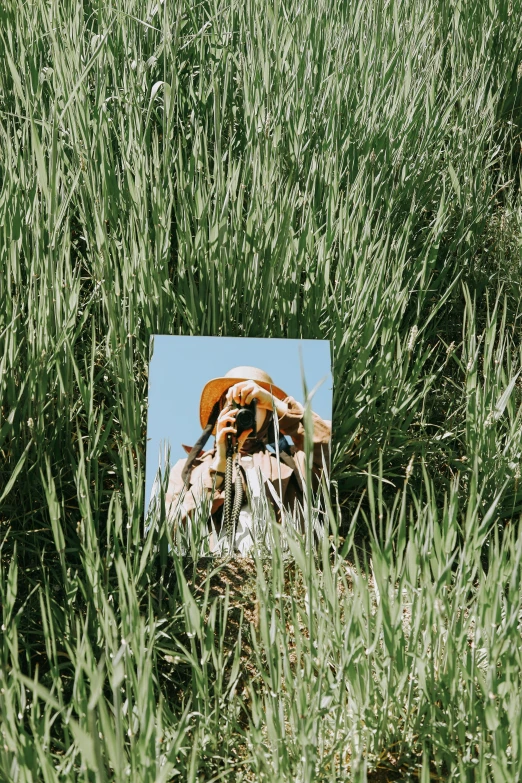 there is a picture of a couple in the grass