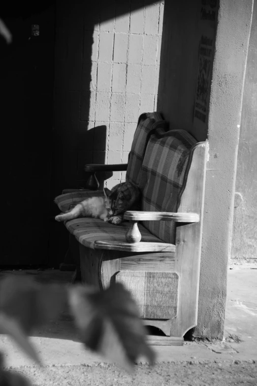 a cat is on a chair next to a door