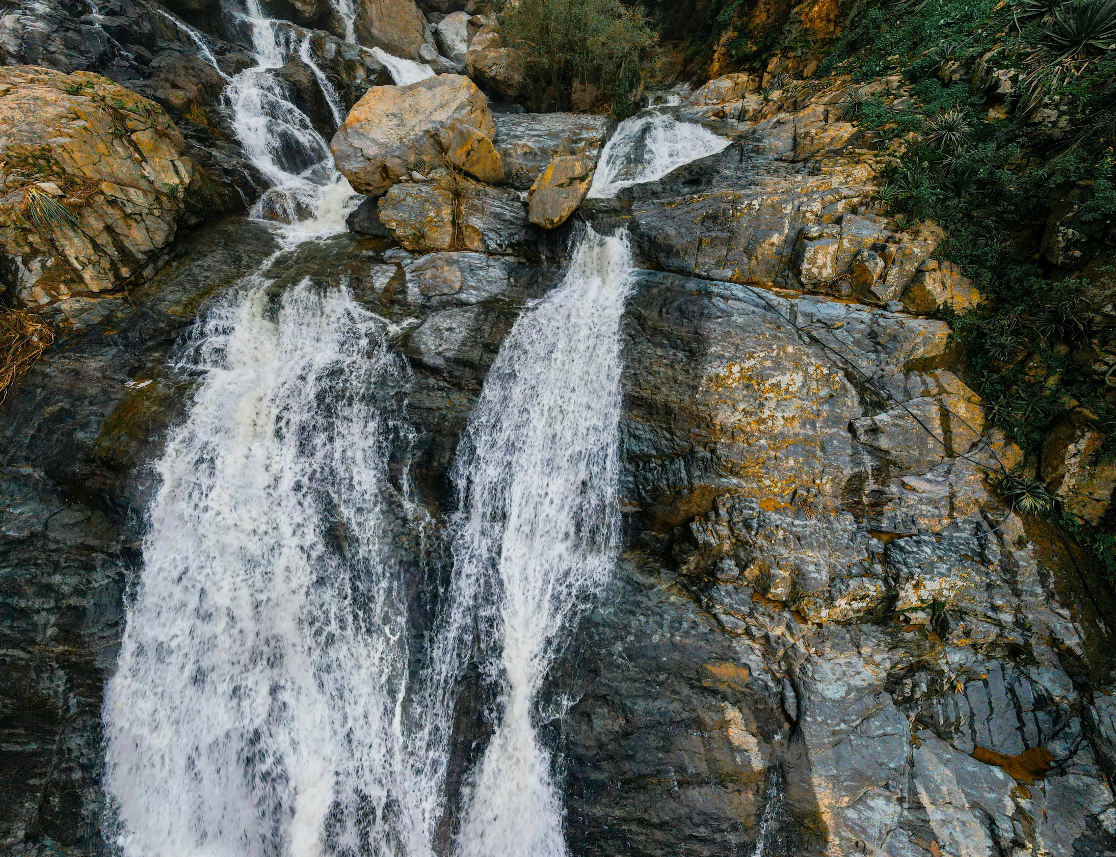 waterfall in front of a tree and rocks