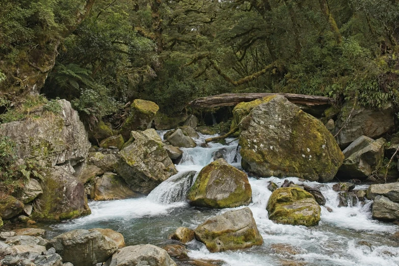 there is a river running between many rocks