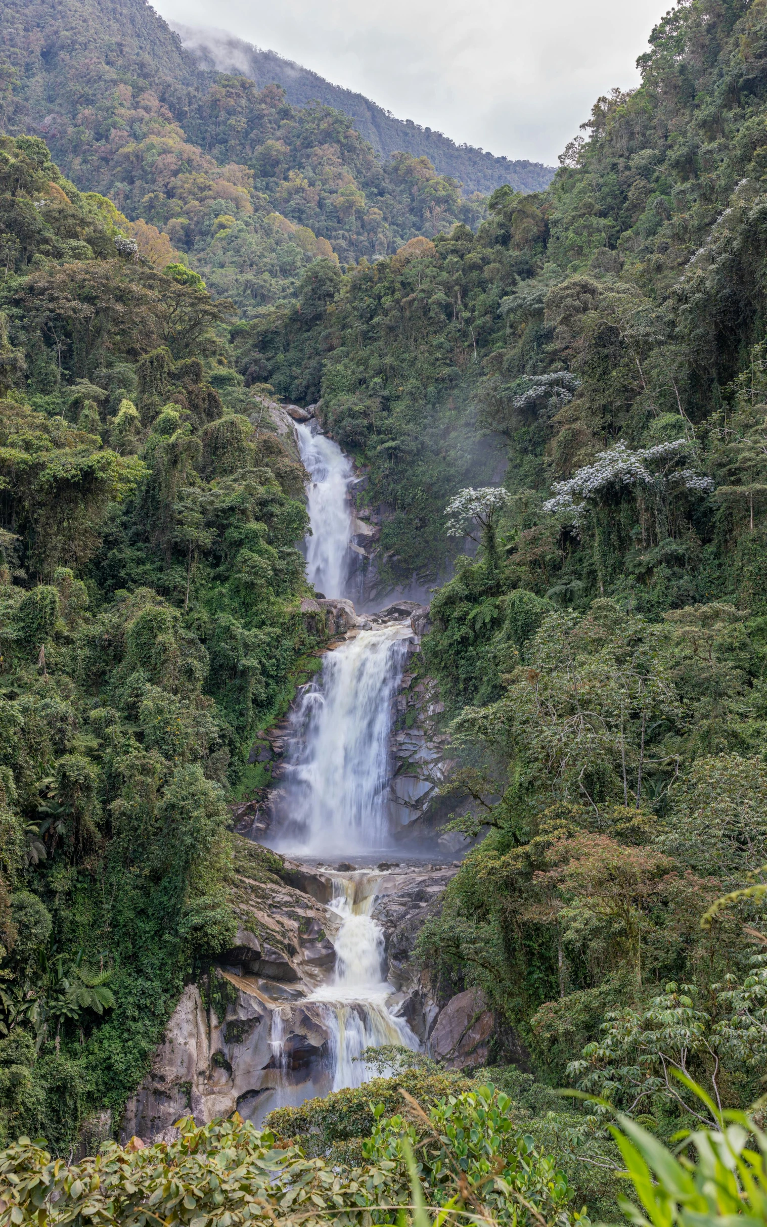 a waterfall in a lush green jungle covered hillside