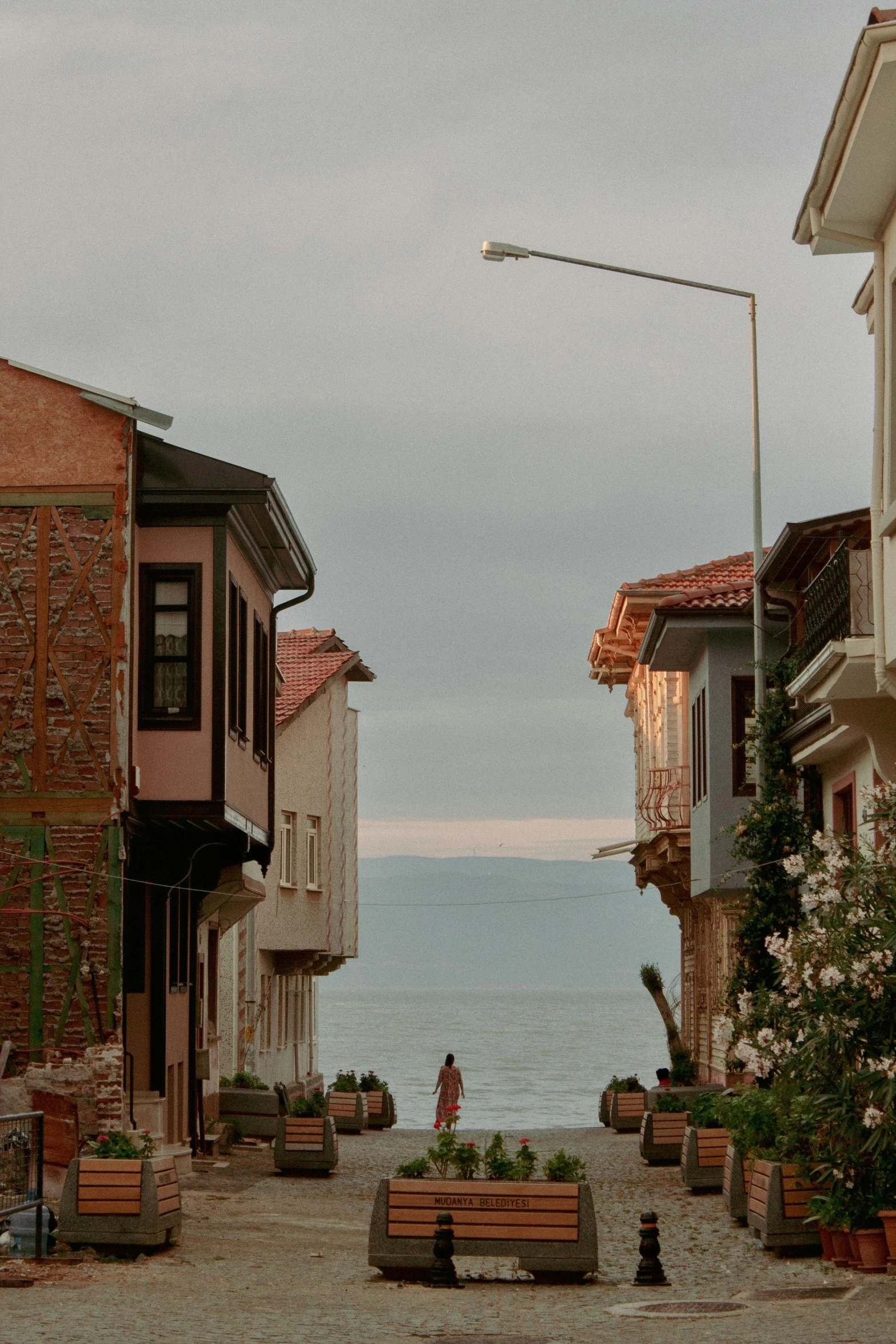 a quiet street with bench facing the ocean