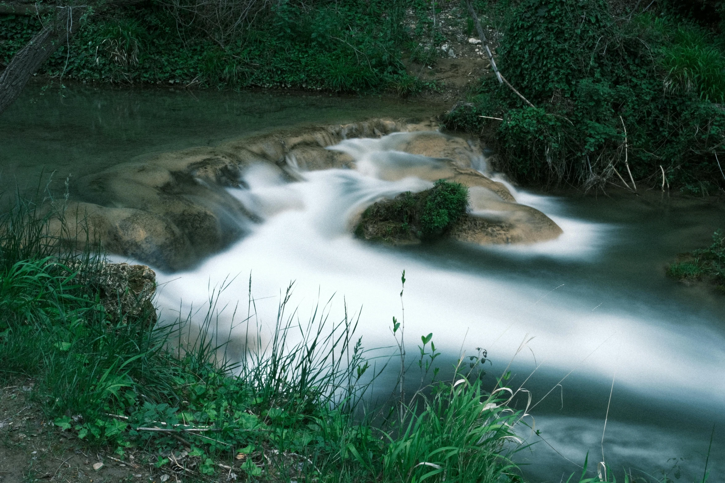 this is a stream with white water near trees