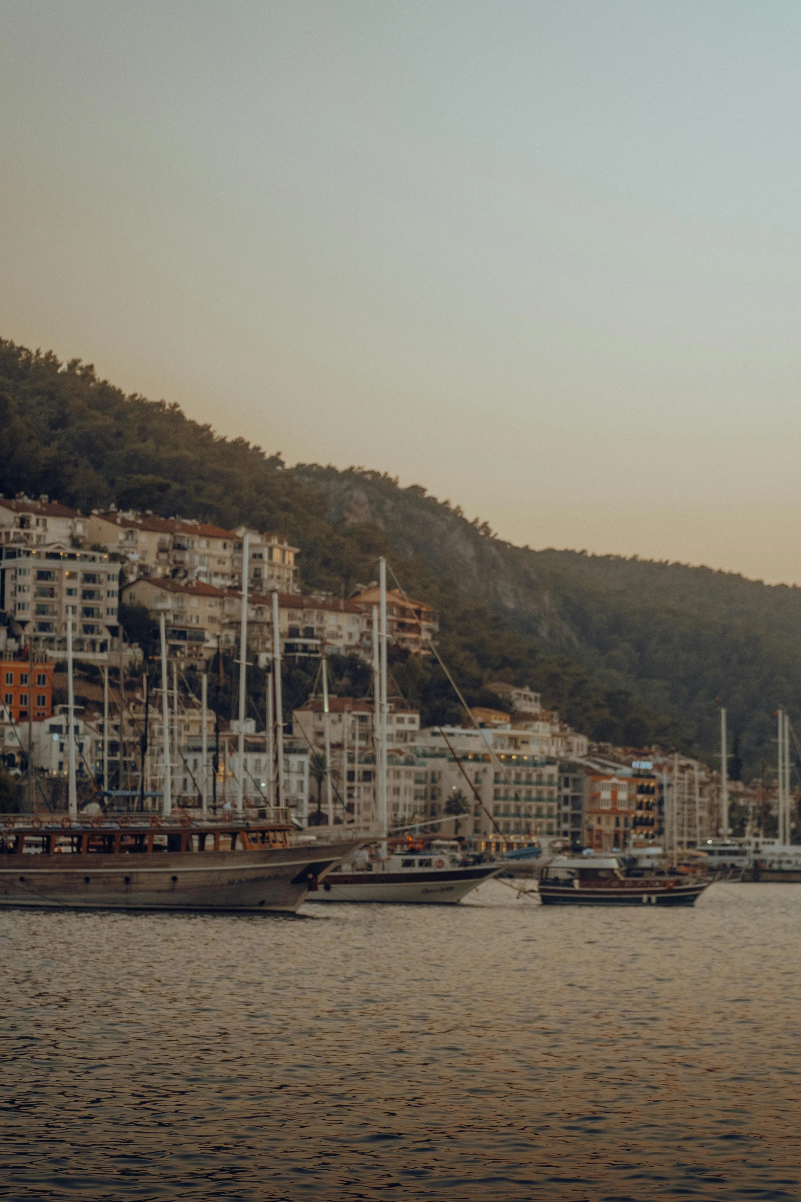 an ocean with many large boats and mountains in the background