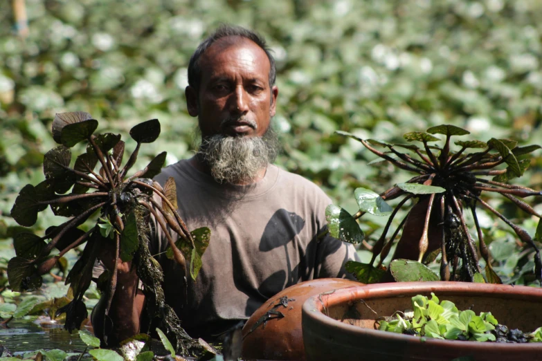 a man is standing in the water surrounded by plants