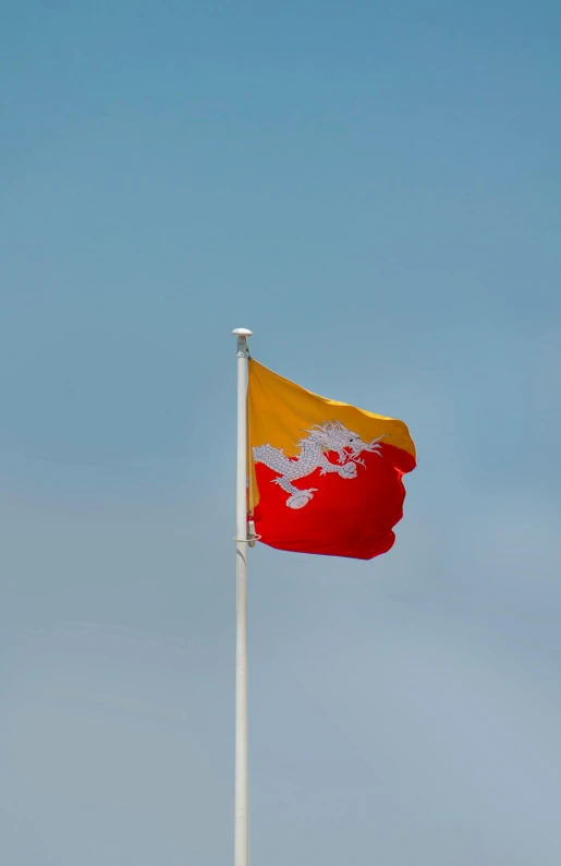 a flag with a white dragon flying in the air