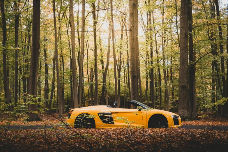 an orange sports car sitting on the road in a forest