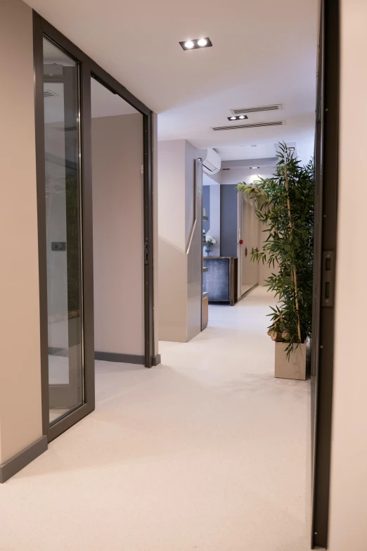 an office hallway with plants on each side of the door