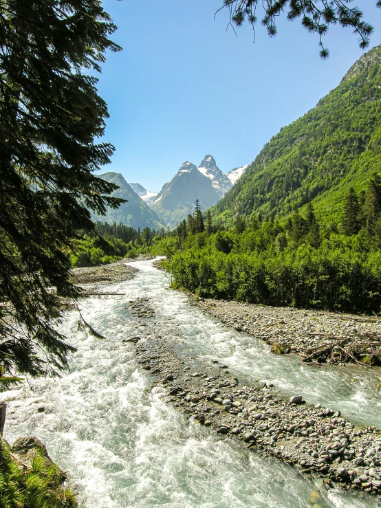 a view of some trees and the water