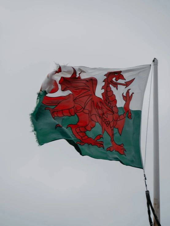 a white flag with green and red letters flying in the air