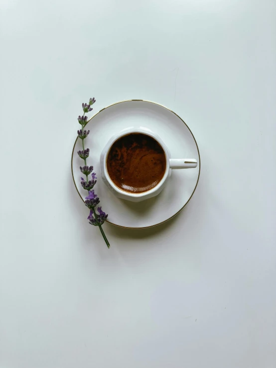 a small plate holding some purple flowers next to a cup of coffee