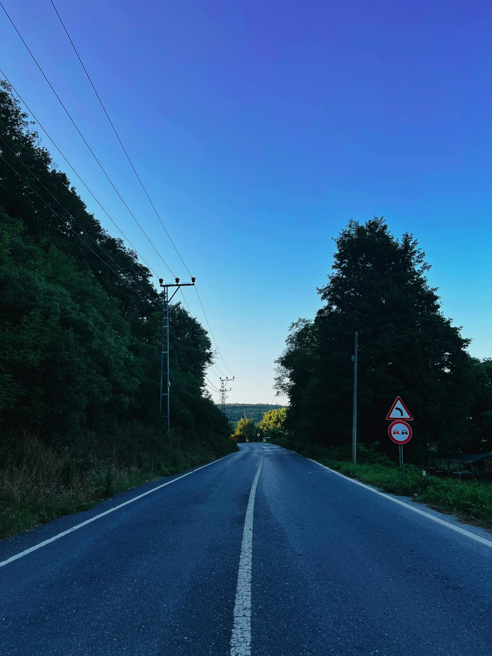 a two lane highway surrounded by trees and bushes