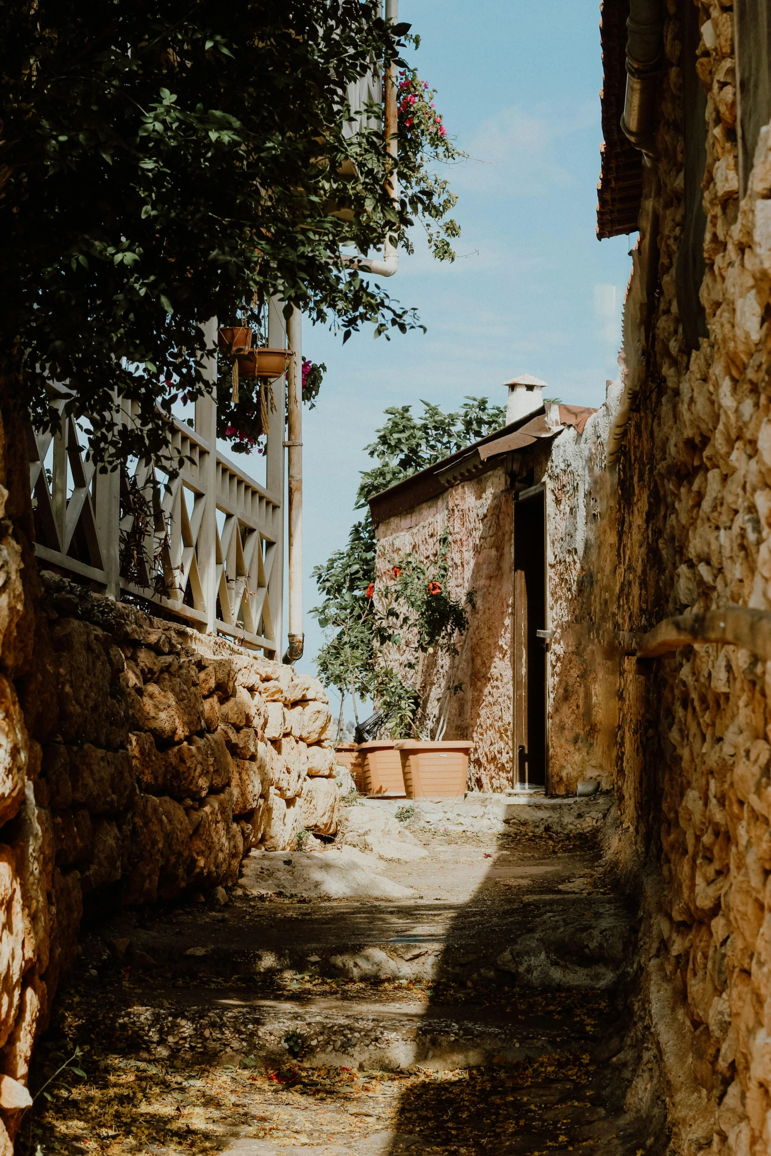 an old street in the countryside with some plants