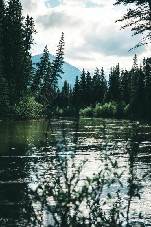 a large body of water surrounded by trees