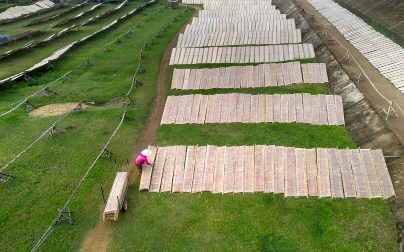 rows of long blankets laid out on grass