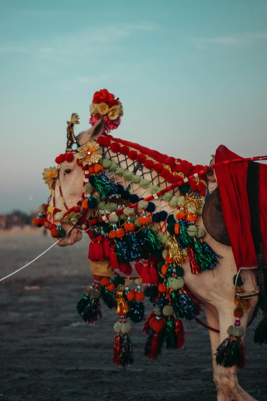 a horse that has some decorations on its back