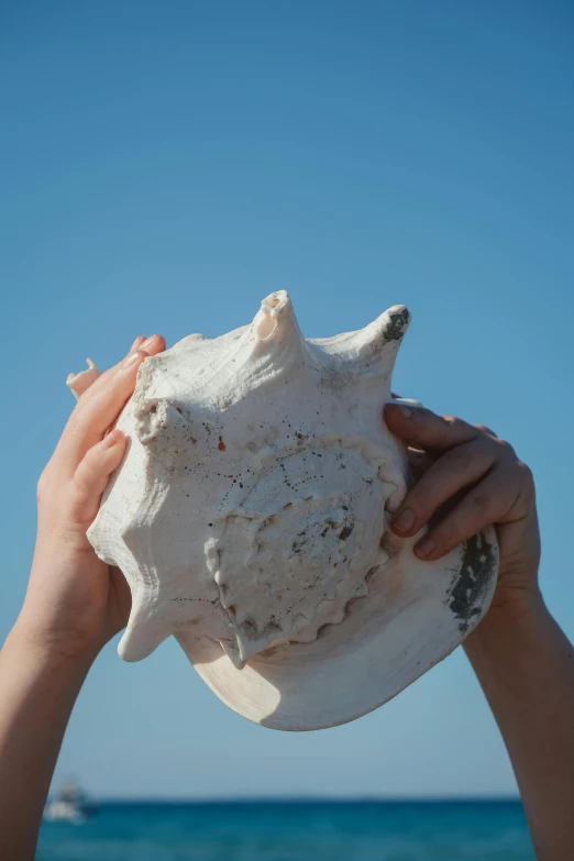 someone holding up a shell in front of the ocean