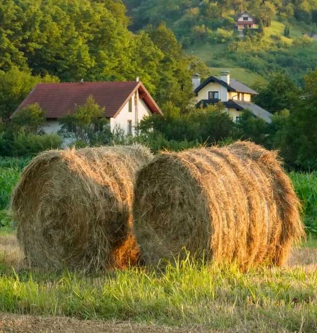 straw bales are stacked in front of a rural area