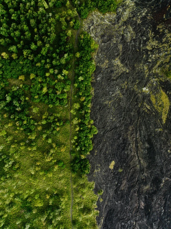 a large patch of dirt sitting on top of grass