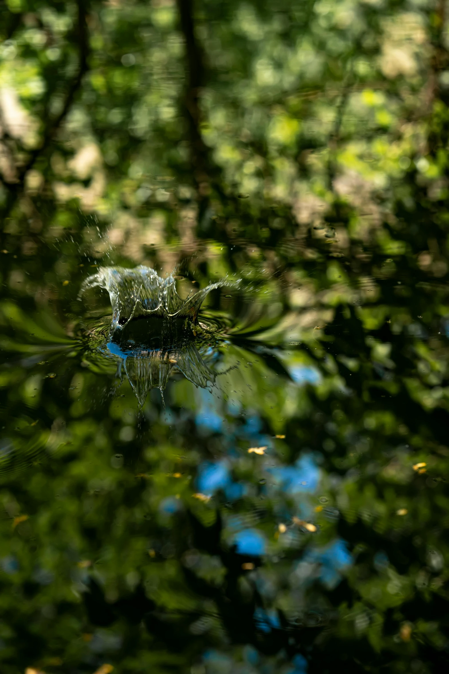 a small dle of water with trees and sky in the background