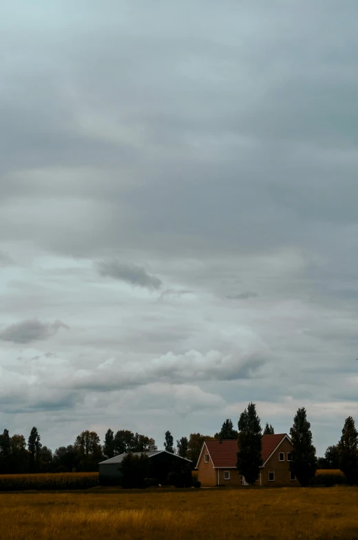 a large plane flying in the cloudy sky above some houses