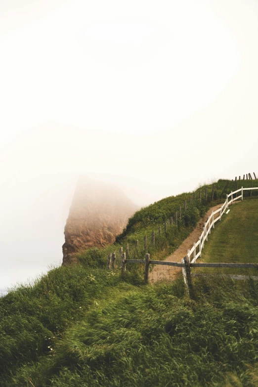 the slope covered in vegetation is on a hill