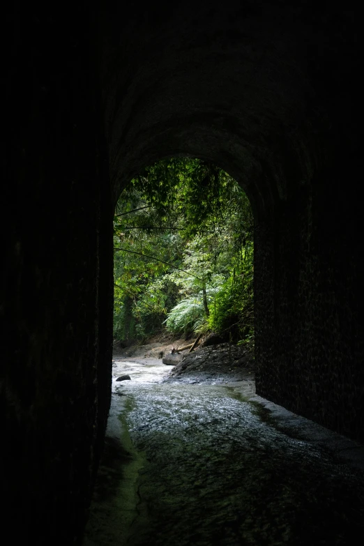 a dark tunnel in a forest that has light shining at it