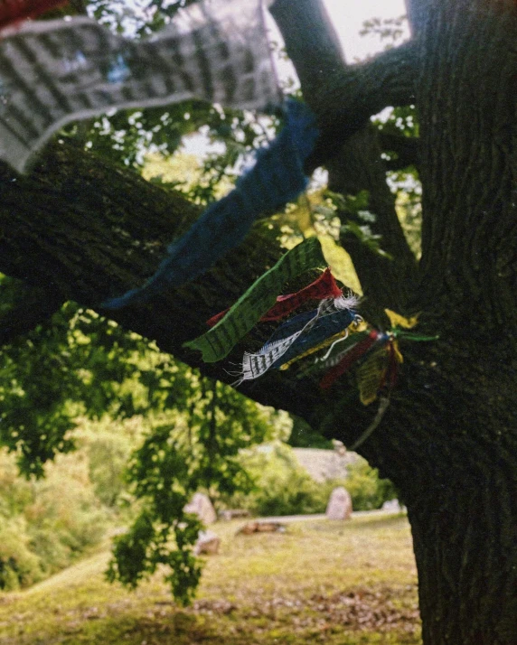 an upside down colorful ribbon hangs from a tree