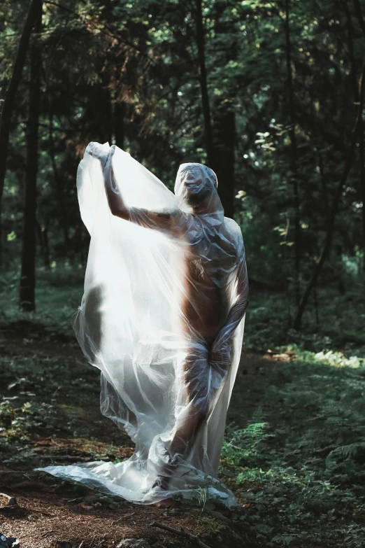 a statue of a woman is shown in the woods