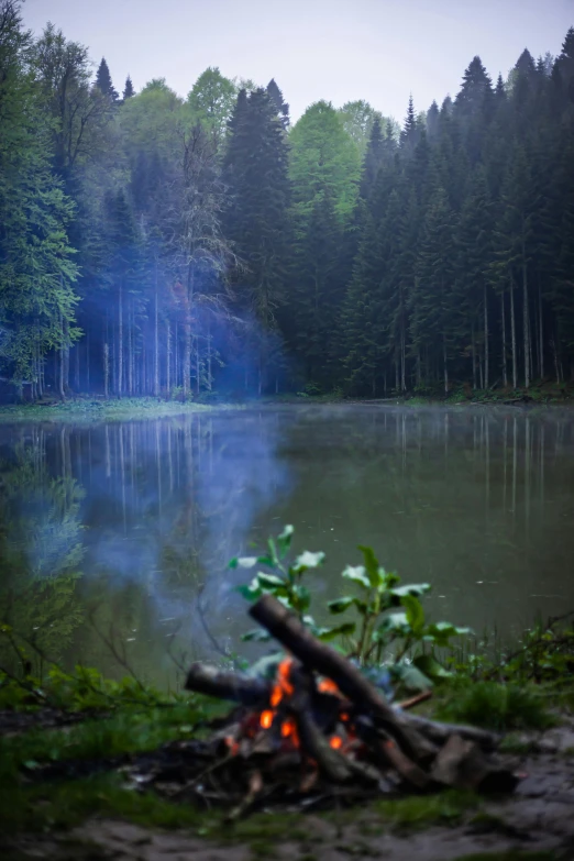 a campfire is lit by some logs on the side of the lake