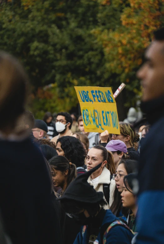 a large crowd of people walking through the streets