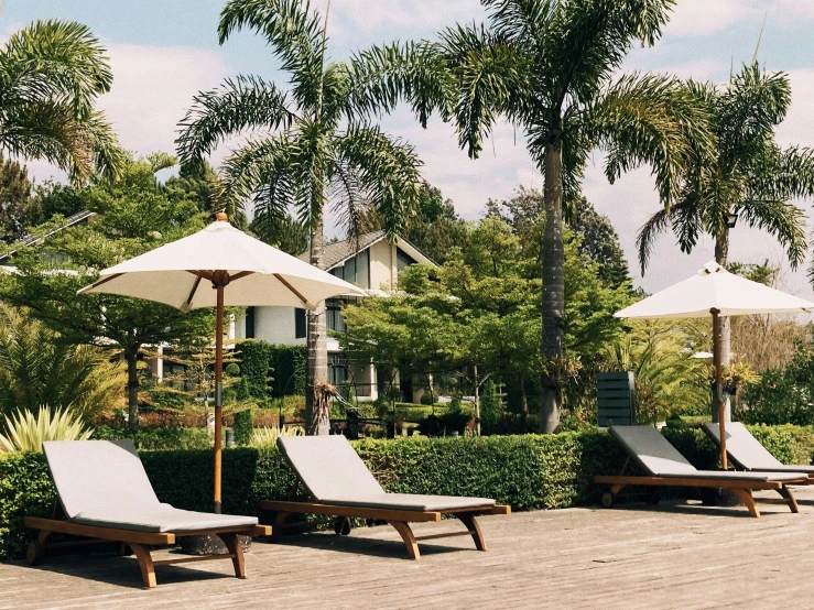 lawn chairs, umbrellas and palm trees line a deck