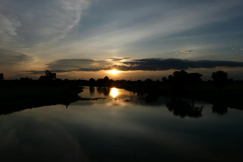 sunset over water with trees in the foreground