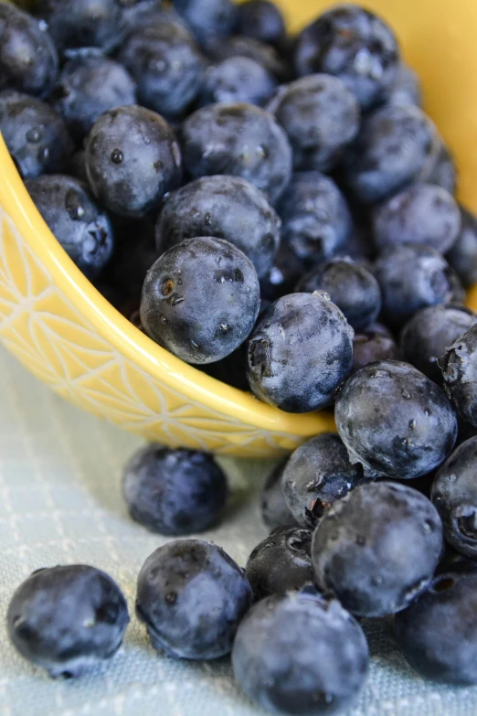 a bowl with some blueberries next to it