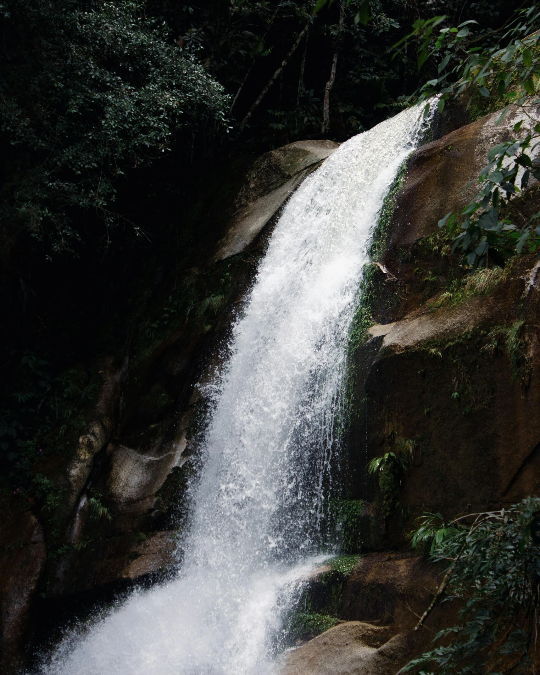 a waterfall cascade in the middle of rocky forest