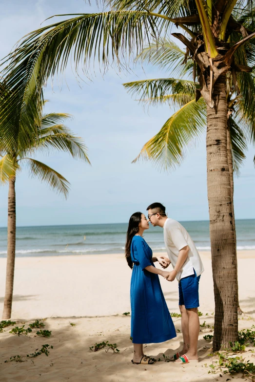 a couple kiss on the beach underneath a palm tree