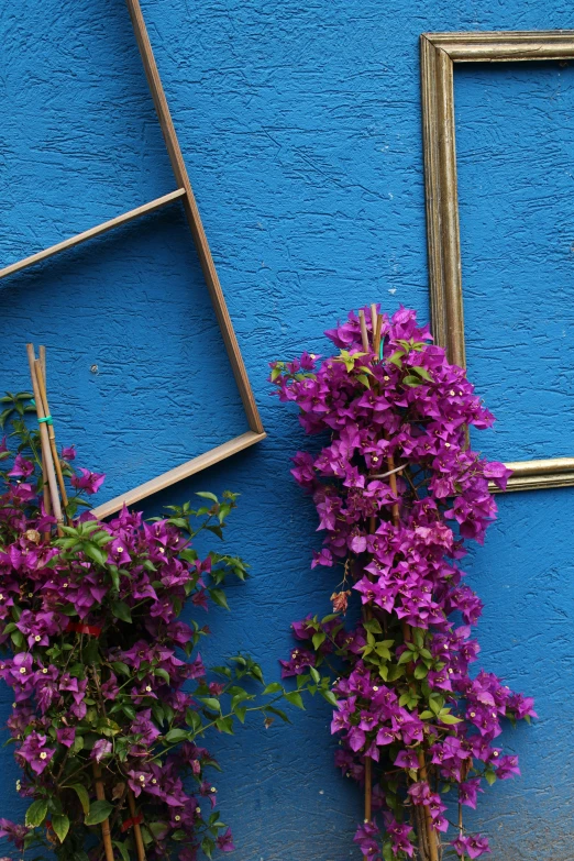 a group of flowers that are next to some kind of mirror