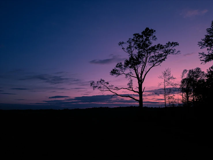 a sunset, with the setting sun just above the horizon