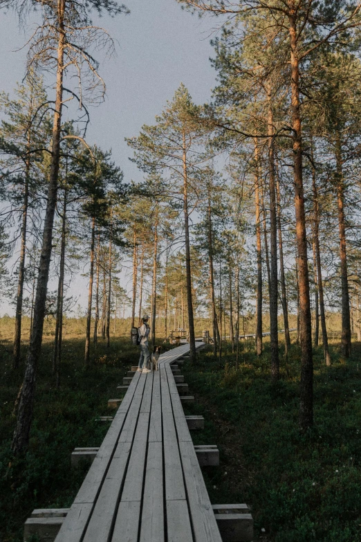 a couple walking on a boardwalk into the woods