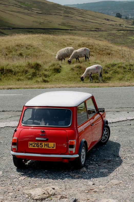 an old mini with a car roof up parked on a gravel road next to sheep