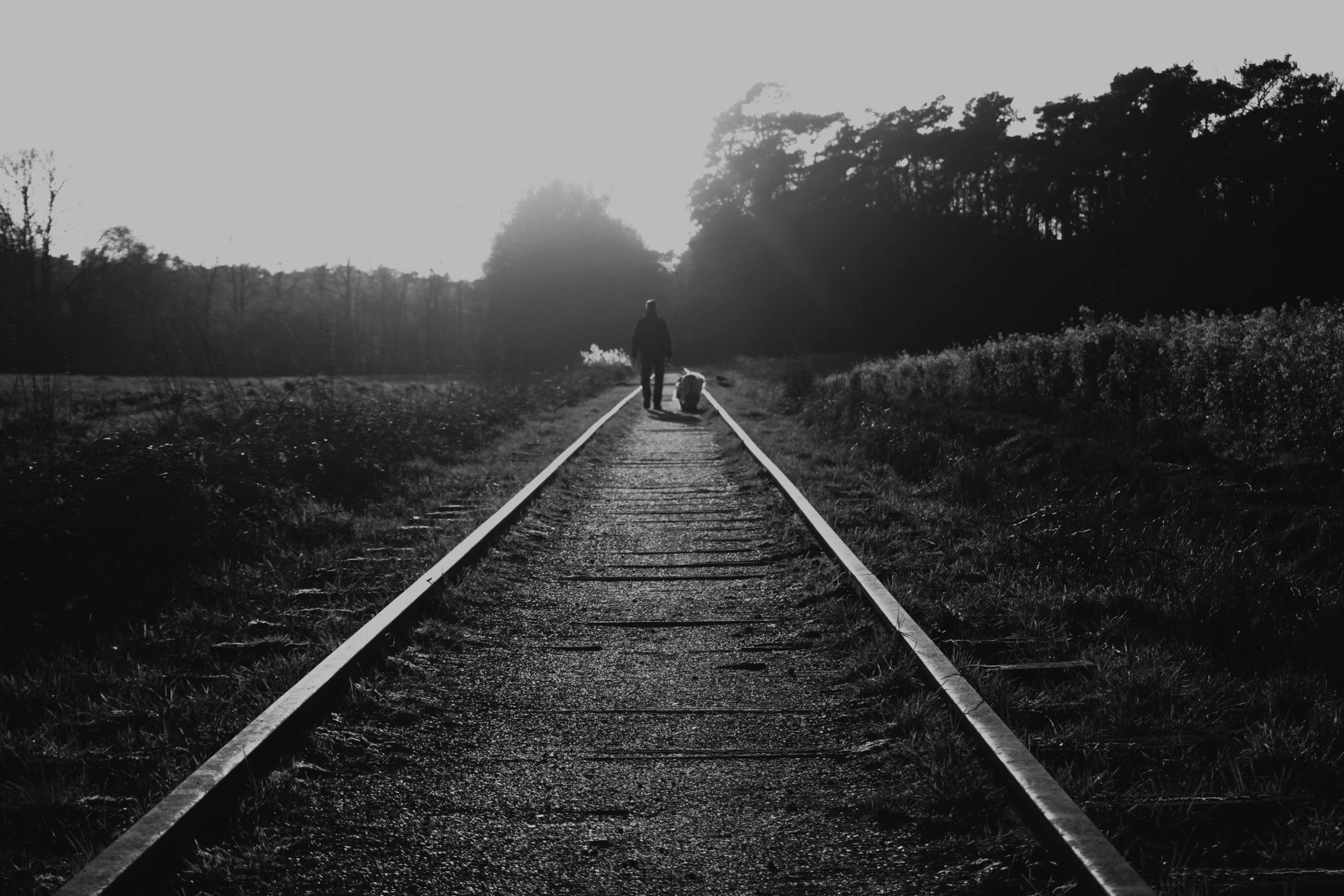 two people standing on a train track in the middle of some trees