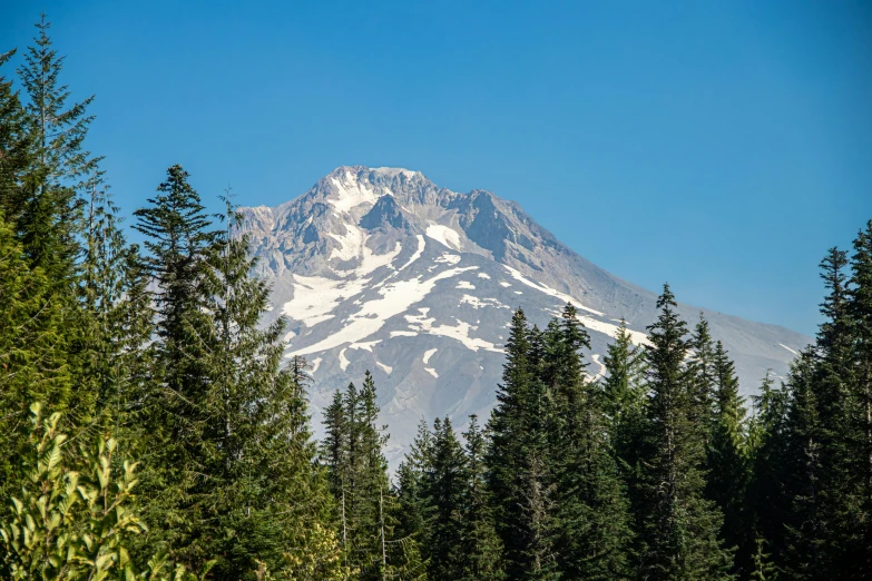 there is an image of mountain peak with many trees surrounding it