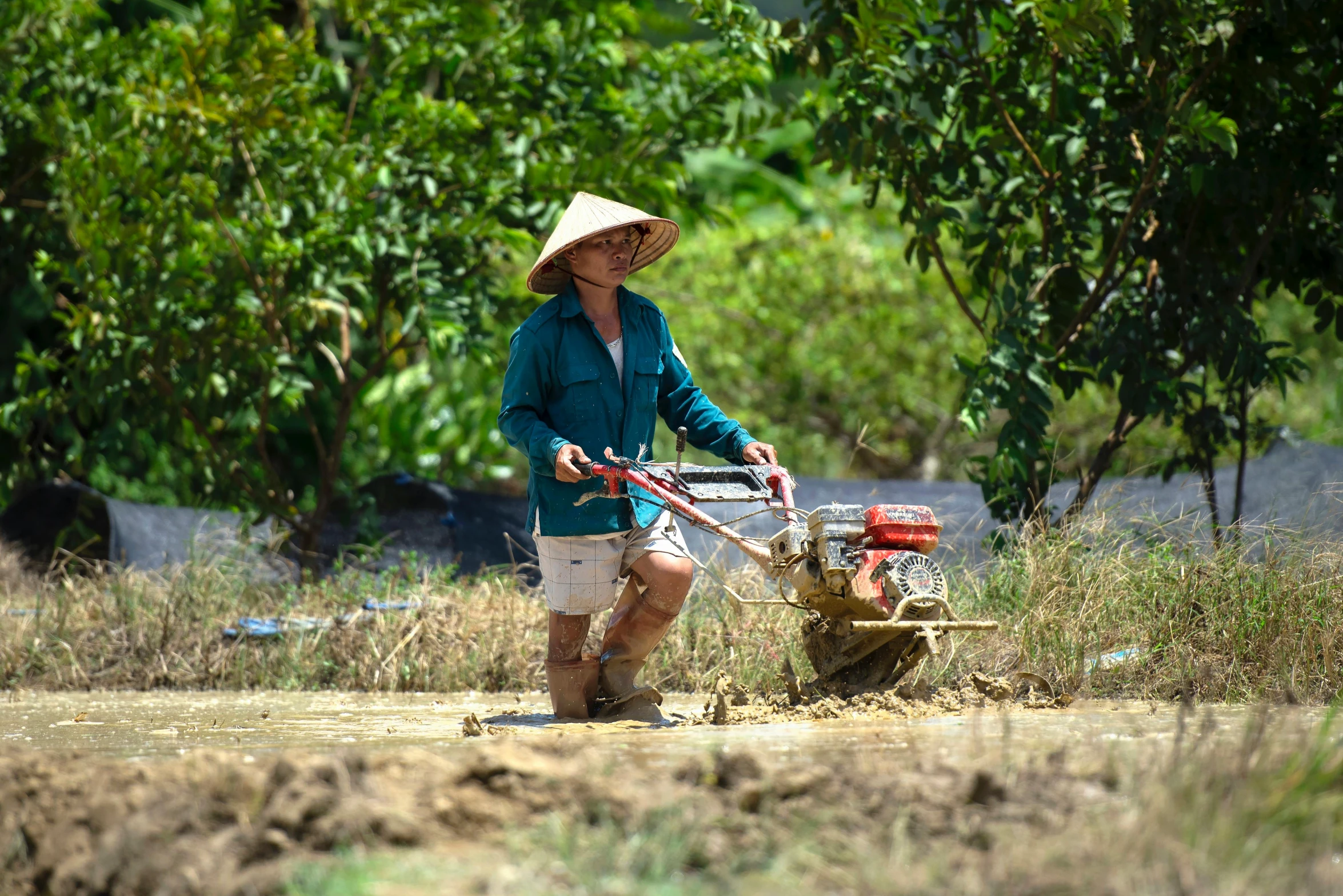 a lady on a dirt road plows the land