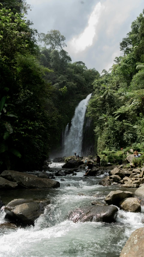 an image of people swimming in the river