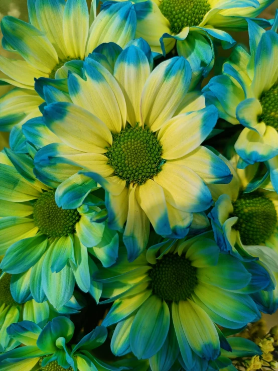 some green and yellow flowers are grouped together